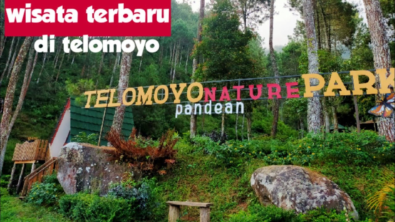 Telomoyo Nature Park: Menjelajahi Pesona Alam dan Keindahan Menakjubkan